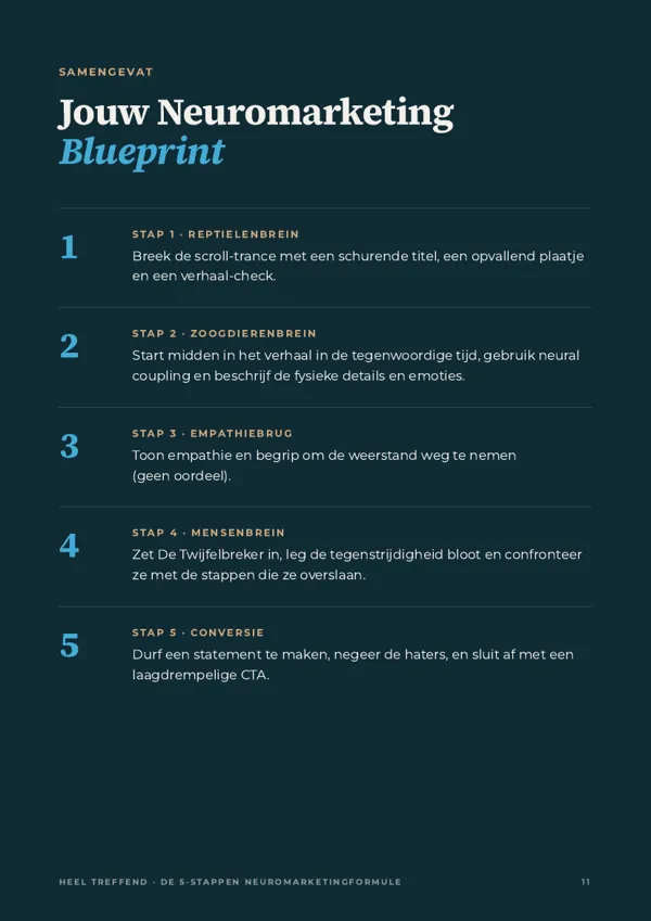 Voorbeeldpagina uit het e-book: de blueprint van de 5-stappenformule